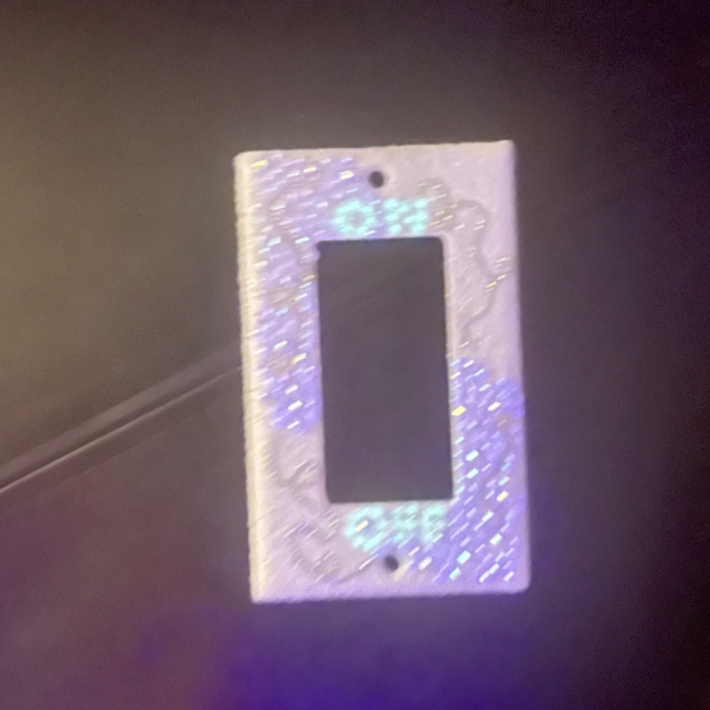 Custom light switch covers - Picture 4 of 5